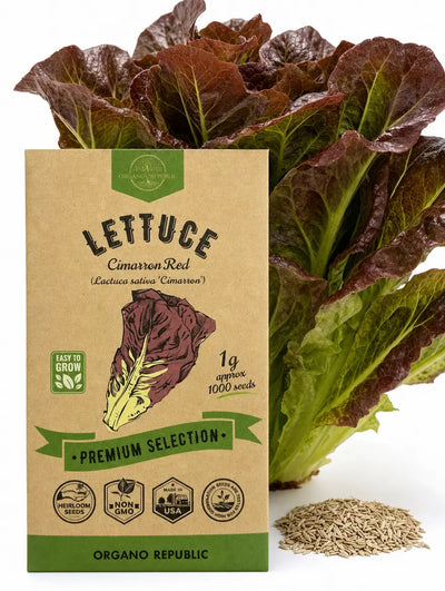 Cimarron Red Romaine Lettuce Seeds – Non-GMO Heirloom