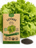 Lettuce Simpson Green Leaf Seeds