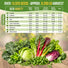 Lettuce & Salad Greens Seeds Variety Pack Organo Republic