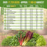 Lettuce & Salad Greens Seeds Variety Pack Organo Republic