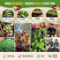 Lettuce & Salad Greens Seeds Variety Pack Organo Republic