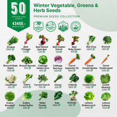 50 Winter Vegetable Garden Seeds Variety Pack - Organo Republic seeds store 50 Winter Vegetable Garden Seeds Variety Pack