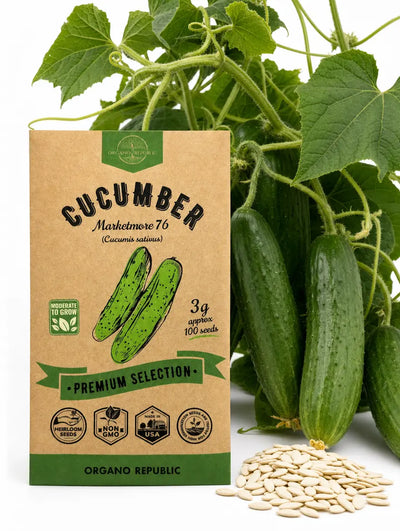 Marketmore 76 Cucumber Seeds – Non-GMO Heirloom