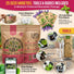 Medicinal & Tea Herb Seeds Variety Pack Organo Republic