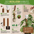 Moss Pole Monstera Plant Support Stakes Organo Republic