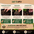Mycorrhizal Fungi Granules Organo Republic