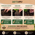 Mycorrhizal Fungi Granules Organo Republic