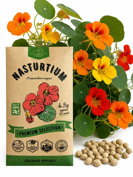 Nasturtium Seeds
