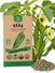 Okra Clemson Spineless 80 Seeds - Organo Republic