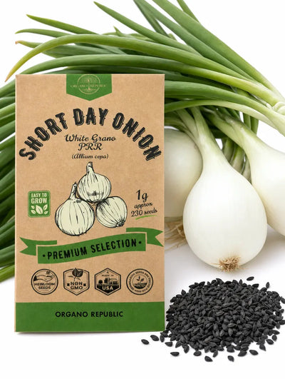 Early White Grano Onion Seeds – Non-GMO Heirloom