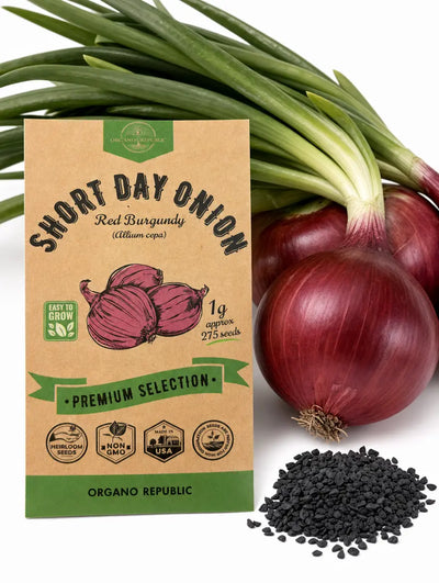 Red Burgundy Onion Seeds – Non-GMO Heirloom