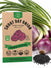 Onion Violet de Galmi Seeds - Organo Republic