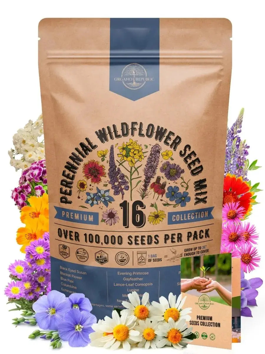 16 Perennial Wildflower Seeds Mix - Organo Republic seeds store 16 Perennial Wildflower Seeds Mix