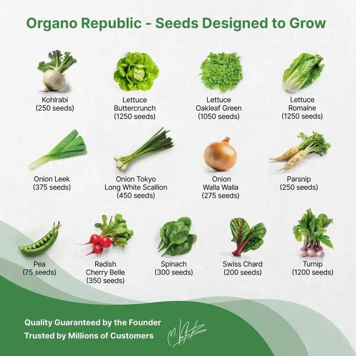 25 Winter Vegetable Seeds Variety Pack - Organo Republic seeds store 25 Winter Vegetable Seeds Variety Pack