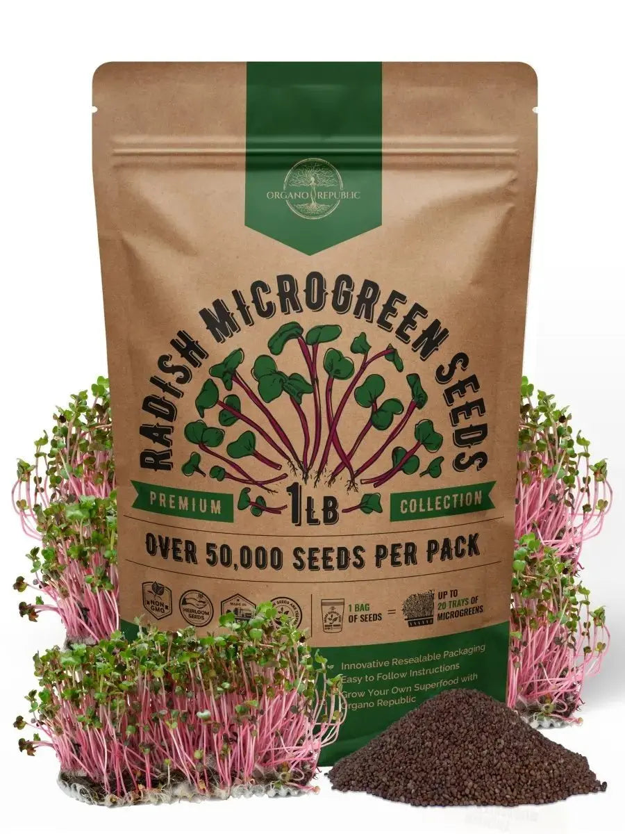 Radish Sprouting & Microgreen Seeds 1lb - Organo Republic seeds store Radish Sprouting & Microgreen Seeds 1lb