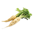 Parsnips - 2G