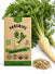 Parsnips Seeds