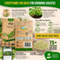 Pea Oregon Sugar Pod II Seeds Pack 15G