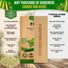Pea Oregon Sugar Pod II Seeds Pack 15G