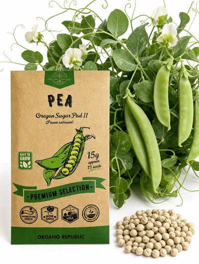 Oregon Sugar Pod II Snow Pea Seeds – Non-GMO Heirloom