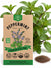 Peppermint Seeds - Organo Republic