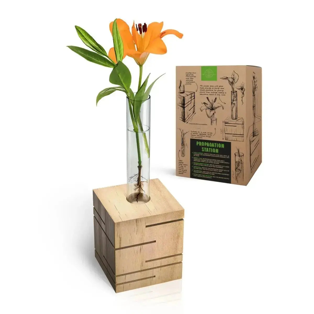 Plant Propagation Station - 1 Glass Tube, Cube Wooden Plant Stand Indoor Terrarium for Hydroponic Plants Home and Office Desk Decor Root Propagator, Unique Gifts for Women, Men & Plant Lovers - Organo Republic seeds store Plant Propagation Station - 1 Glass Tube, Cube Wooden Plant Stand Indoor Terrarium for Hydroponic Plants Home and Office Desk Decor Root Propagator, Unique Gifts for Women, Men & Plant Lovers