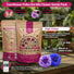 Polka Dot Mix Cornflower Seeds Organo Republic