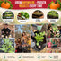 Pumpkin Connecticut Field Seeds Pack 10G
