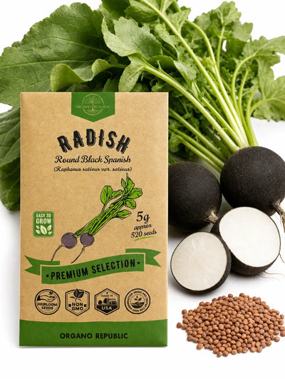 Round Black Spanish Radish Seeds – Non-GMO Heirloom