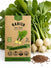 Radish White Globe Seeds