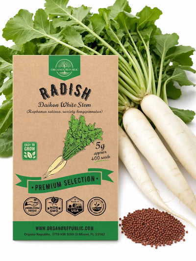 Daikon Radish Seeds – White Stem, Non-GMO Heirloom