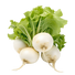 Radish White Globe - 3G
