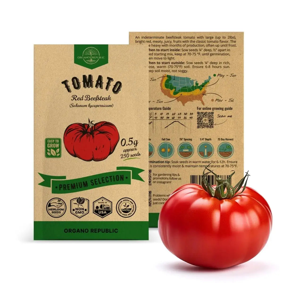Red Beefsteak Tomato Seeds Pack 0.5G - Organo Republic seeds store Red Beefsteak Tomato Seeds Pack 0.5G