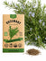 Rosemary Seeds