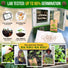 Sage Seeds Pack 1.5 G