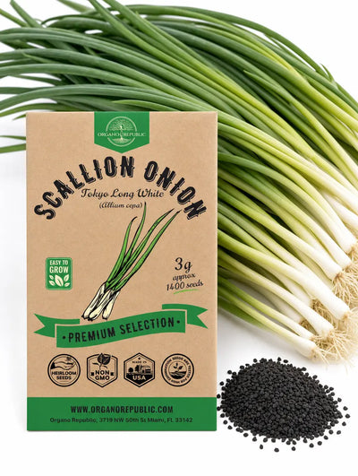 Green Onion Seeds – Tokyo Long White, Non-GMO Heirloom