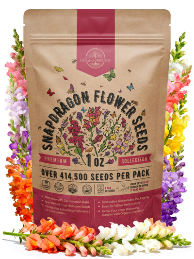 Snapdragon Seeds for Sale – Non-GMO Heirloom