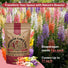 Snapdragon Seeds Organo Republic