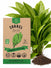 Sorrel Seeds - Organo Republic
