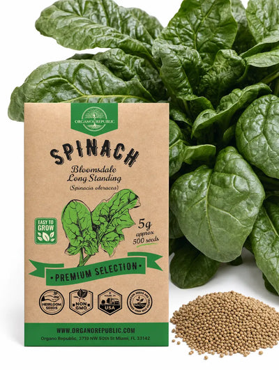 Bloomsdale Long Standing Spinach Seeds – Non-GMO Heirloom