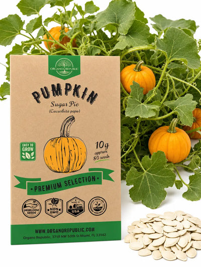 Sugar Pie Pumpkin Seeds – Non-GMO Heirloom