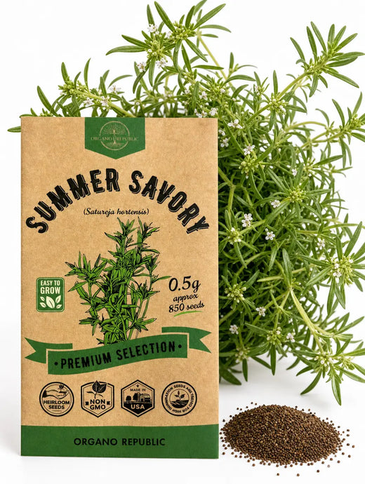 Summer Savory Seeds