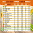 Summer Vegetable Seeds Variety Pack Organo Republic