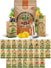 Summer Vegetable Seeds Variety Pack Organo Republic