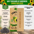 Sunflower Black Oil Seeds Pack 9G