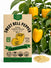 Sweet Bell Pepper Golden California Wonder Seeds