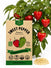 Sweet Pepper Pimento L Seeds