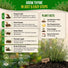 Thyme Seeds Pack 0.5 G