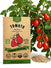 Tomato Red Pear Seeds