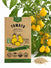 Tomato Yellow Pear Seeds